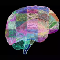 آثار هنری کامپیوتری مغز انسان در پروفایل