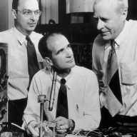 برنده جایزه نوبل فیزیکدانان آمریکایی (L-R) جان باردین (1908 - 1991)، ویلیام شاکلی (1910 - 1989) و والتر براتین (1902 - 1987) که ترانزیستورها را اختراع کردند، آزمایشی را انجام دادند.