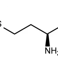متیونین یک اسید آمینه ضروری است.
