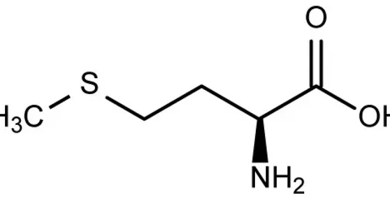 متیونین یک اسید آمینه ضروری است.