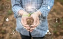 عوامل بیوتیک و غیر زیستی با هم کار می کنند تا یک اکوسیستم بسازند.