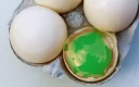تغییر رنگ زرده تخم مرغ با استفاده از رنگ محلول در روغن یا تغذیه طیور با رژیم غذایی خاص امکان پذیر است.