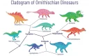 کلادوگرام دایناسور Ornithischian