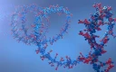 مولکول RNA