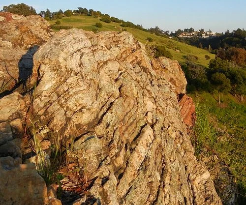 نمای بیرونی متاچرت در یک روز آفتابی