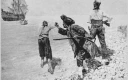 عکس عتیقه نقاشی: دزدان دریایی