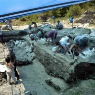 کاوش های دمانیسی، 1386