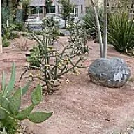 xeriscaping