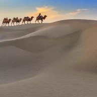 سفر کاروان شتر در صحرا