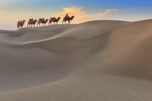 سفر کاروان شتر در صحرا