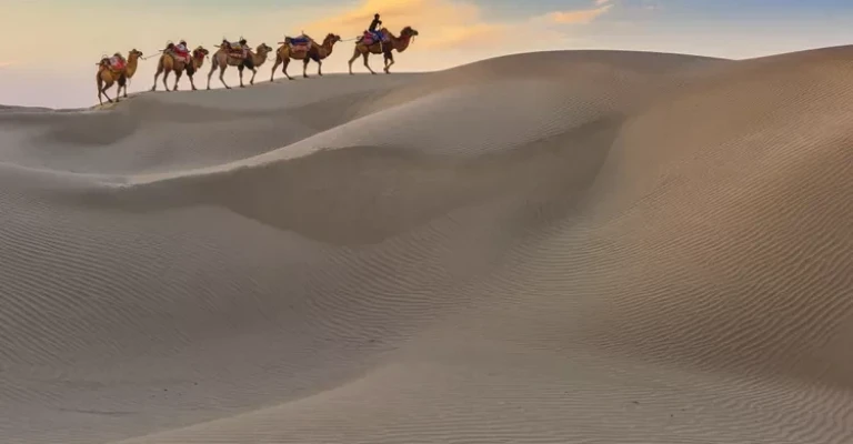 سفر کاروان شتر در صحرا