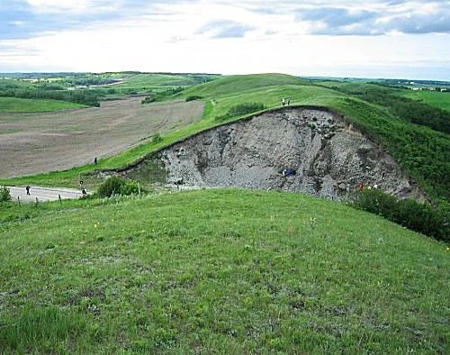 مارهای شنی