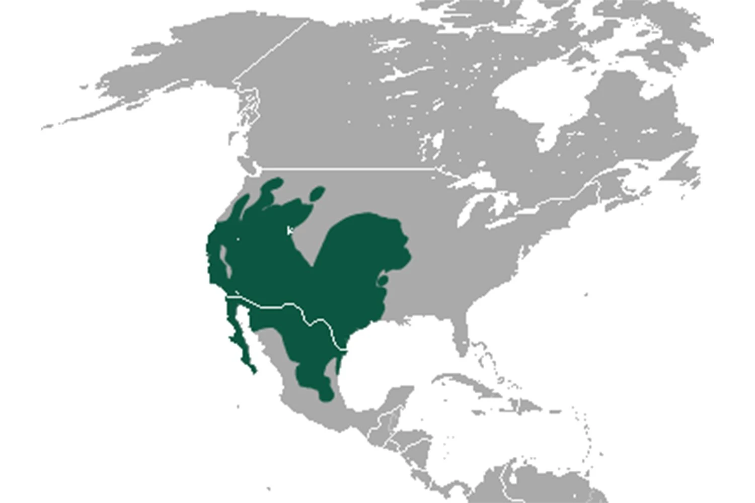 محدوده زندگی خرگوش صحرایی دم&zwnj;سیاه