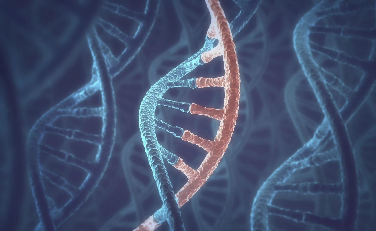 مولکول های DNA