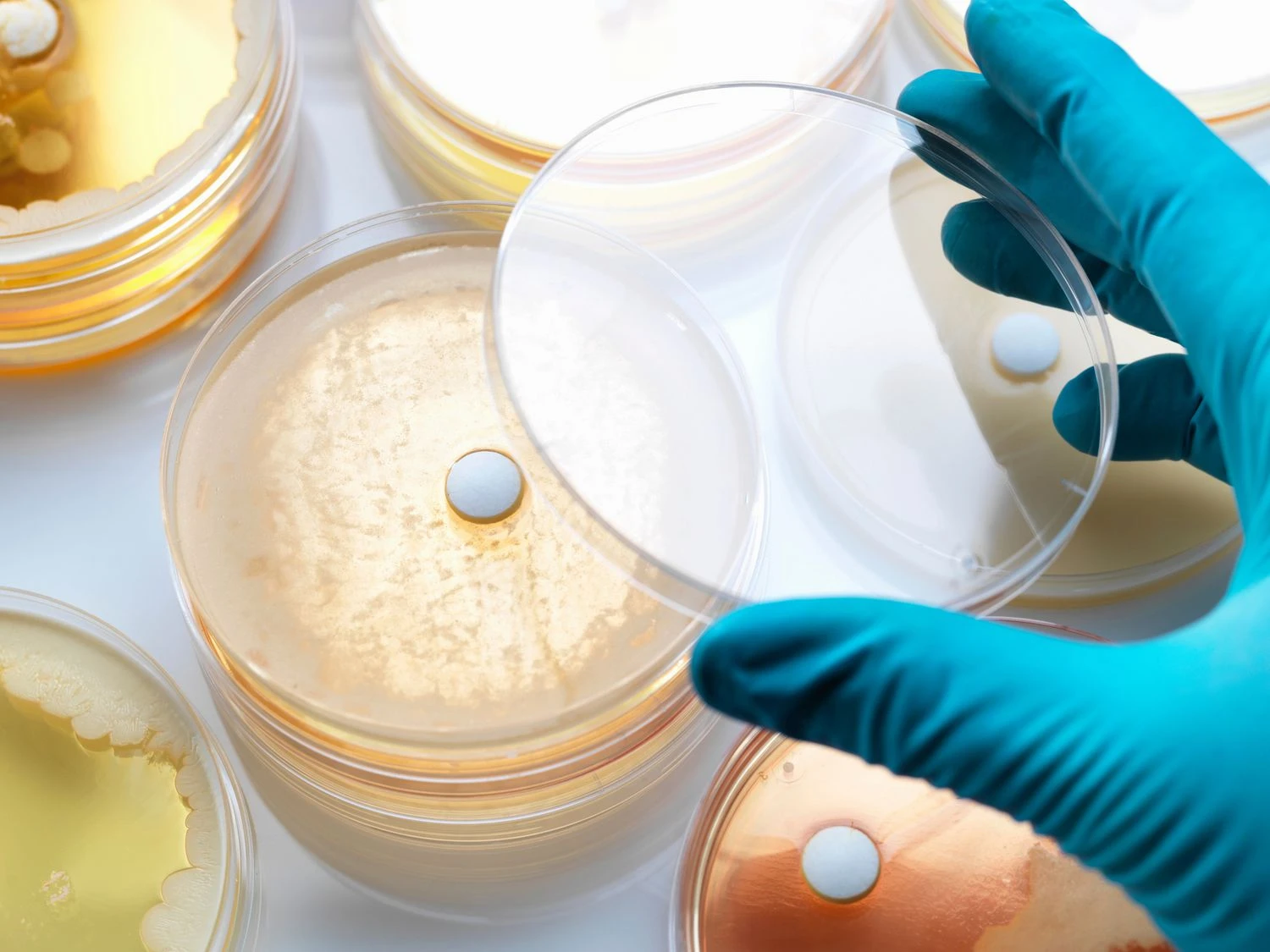 قرص&zwnj;های آنتی&zwnj;بیوتیک