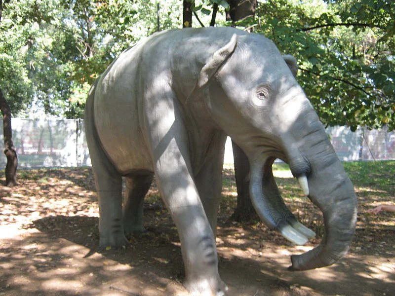 پلاتی&zwnj;بلودون