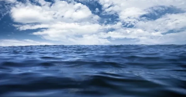 گمشده در دریا