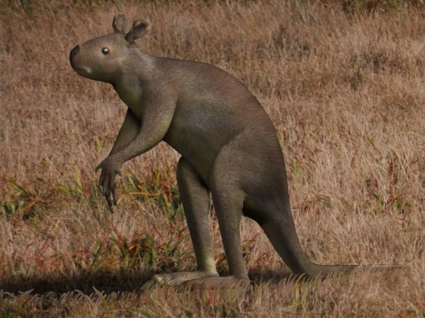 تصویری از استنوروس