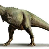 گورگوسوروس