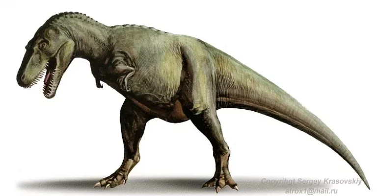 گورگوسوروس