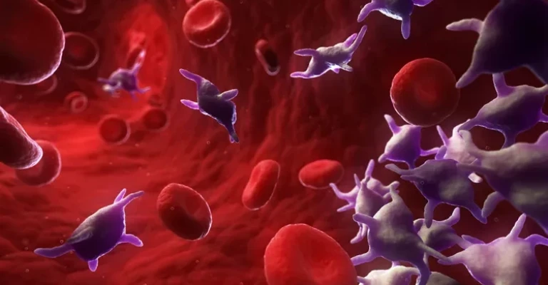 پلاکت‌های فعال‌شده، اثر هنری