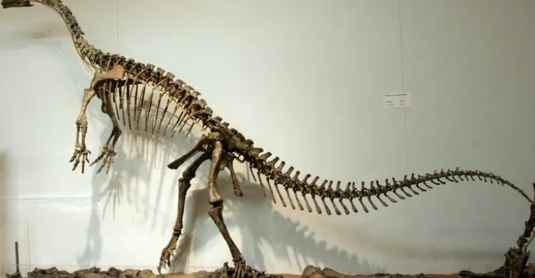 پلاتوسوروس