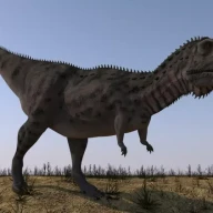 ماجونگاسوروس در محیطی بایر.