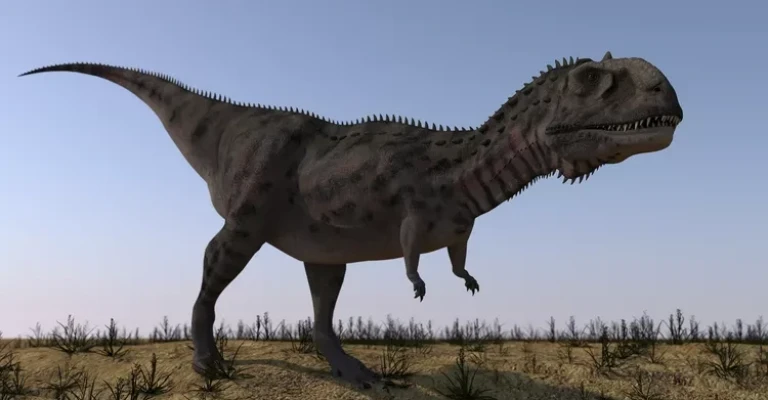 ماجونگاسوروس در محیطی بایر.