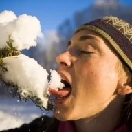 کسی که برف درخت را می‌خورد