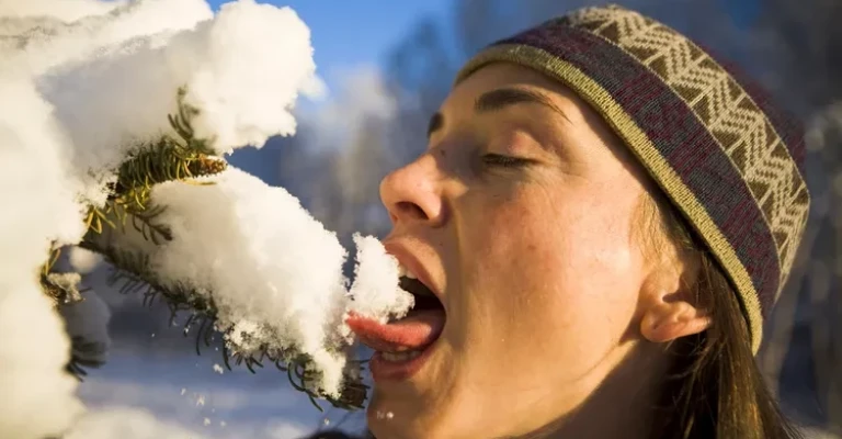 کسی که برف درخت را می‌خورد
