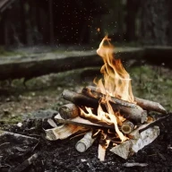 آتش افروزی در جنگل