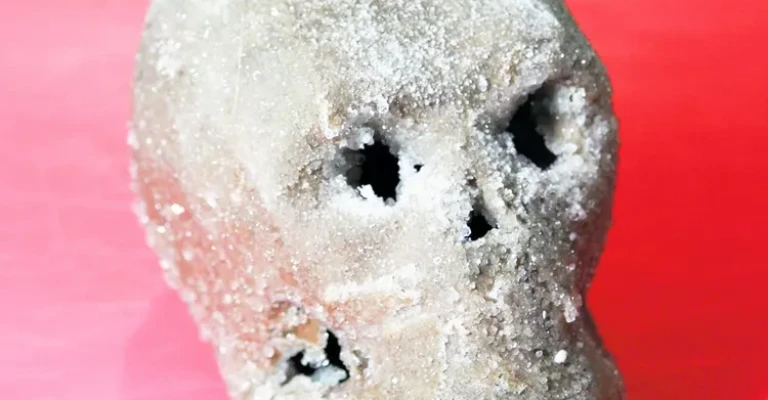 این جمجمه مقوایی با کریستال‌های بوراکس می‌درخشد.