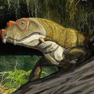 علیرغم نامش، تتراسراتوپس هیچ ارتباطی با تریسراتوپس‌های بسیار جدیدتر نداشت.