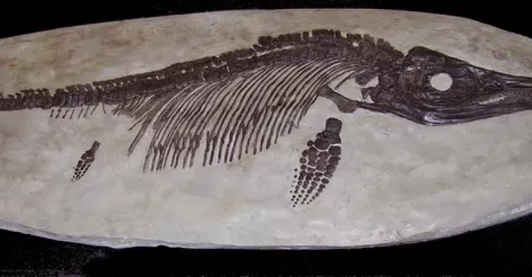 ایکتیوسوروس