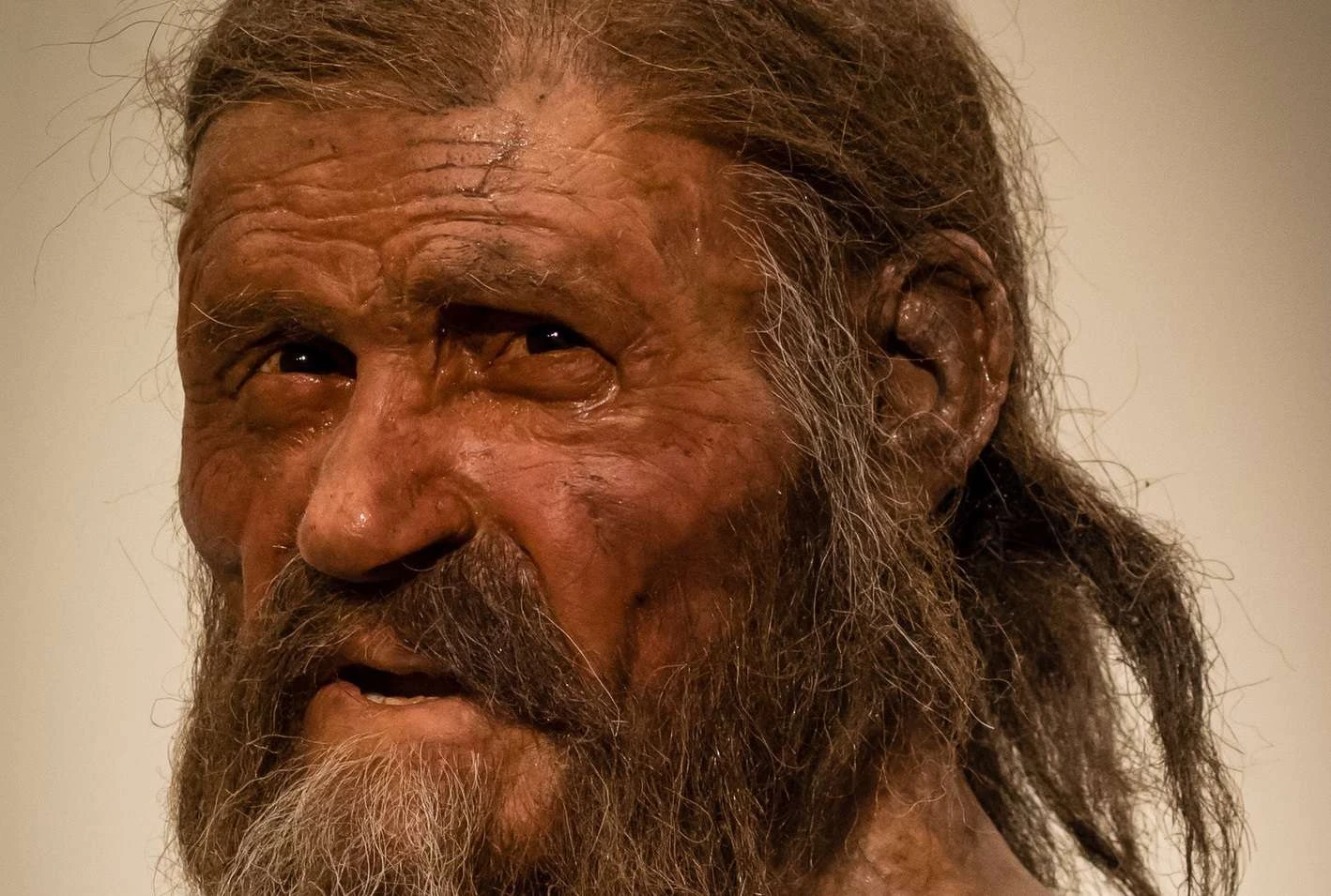 تصویر نزدیک از اوتزی، مرد یخی