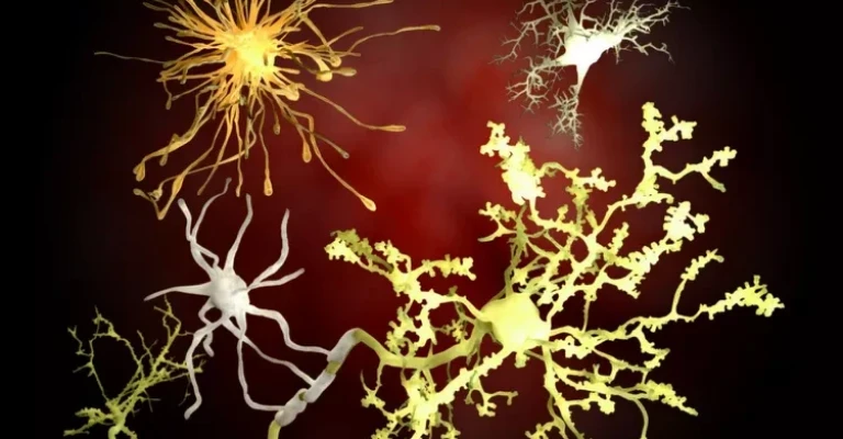 نورون‌ها و سلول‌های گلیال