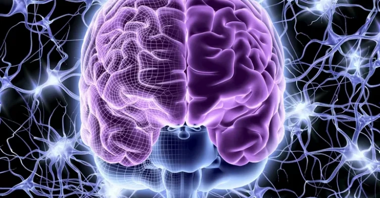 سلول‌های مغز و اعصاب