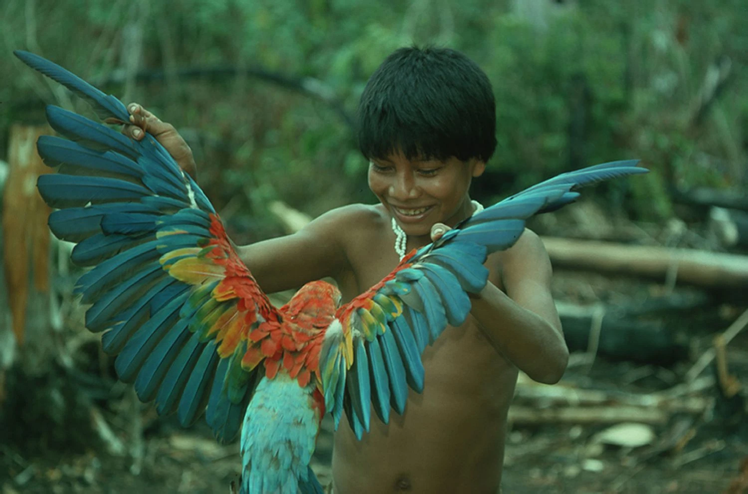 پسری با طوطی ماکائو