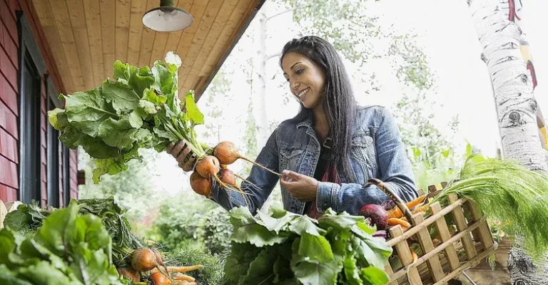 زنی در حال بررسی چغندرهای طلایی از یک فروشنده محلی