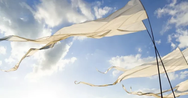 پرچم‌ها در باد