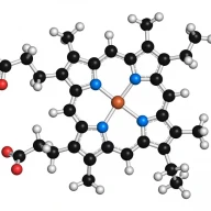 هِم نمونه‌ای از یک کوآنزیم یا کوفاکتور است که حاوی هر دو جزء آلی و معدنی است.