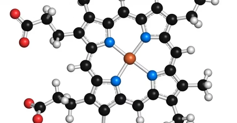 هِم نمونه‌ای از یک کوآنزیم یا کوفاکتور است که حاوی هر دو جزء آلی و معدنی است.