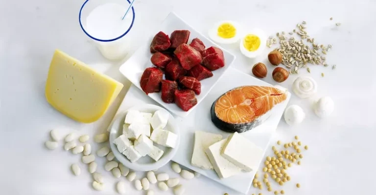 غذاهای سرشار از پروتئین