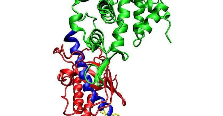 طراحی سه‌بعدی siRNA