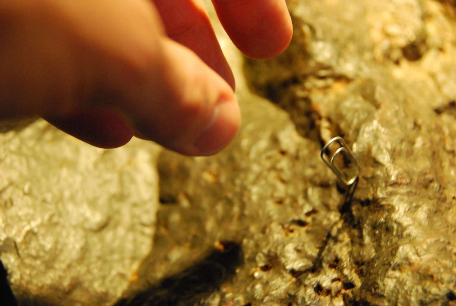 نمایش سنگ مغناطیسی در عمل با یک گیره کاغذ