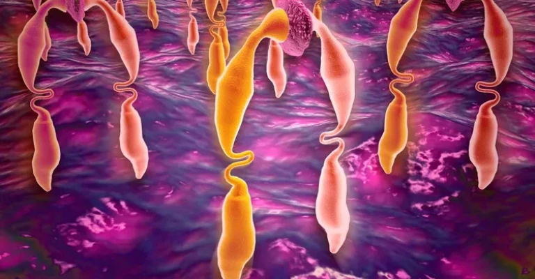 نمای میکروسکوپی از اتصال لیگاند به گیرنده