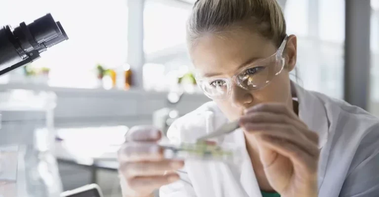 دانشمند متمرکز با استفاده از موچین در ظرف پتری